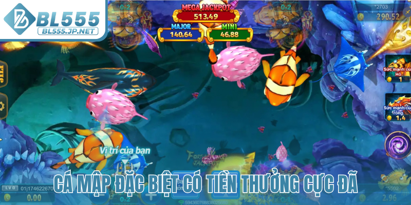 Cá Mập đặc biệt có tiền thưởng cực đã