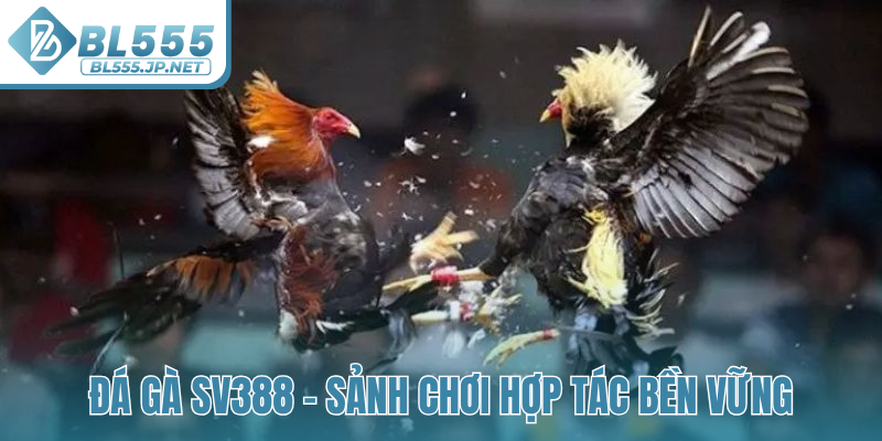 Đá gà SV388