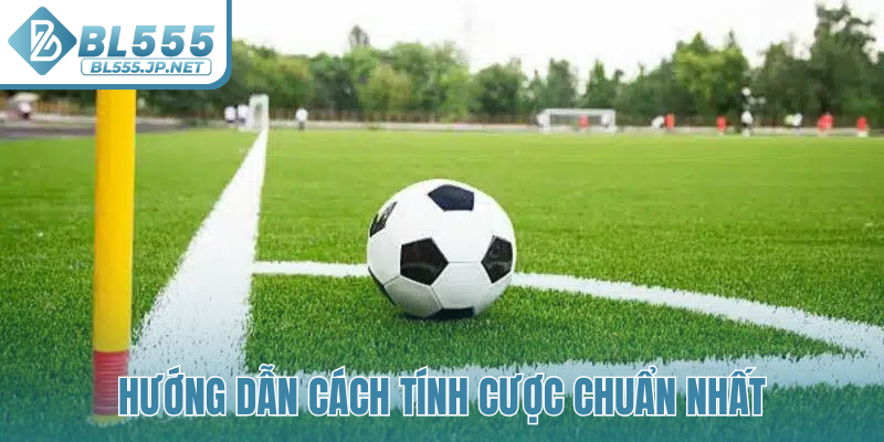 Hướng dẫn cách tính cược chuẩn nhất