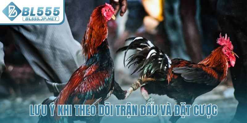 Lưu ý khi theo dõi trận đấu và đặt cược