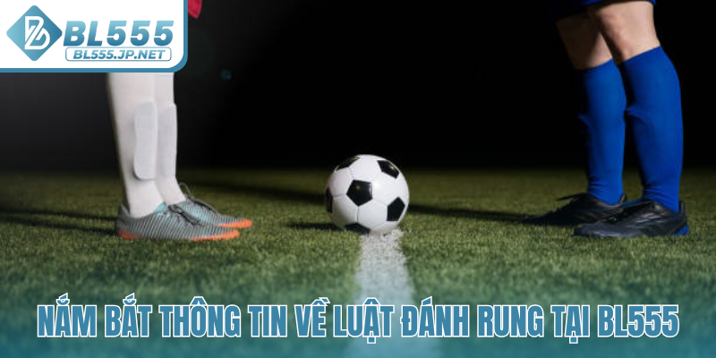 Nắm bắt thông tin về luật đánh rung tại BL555