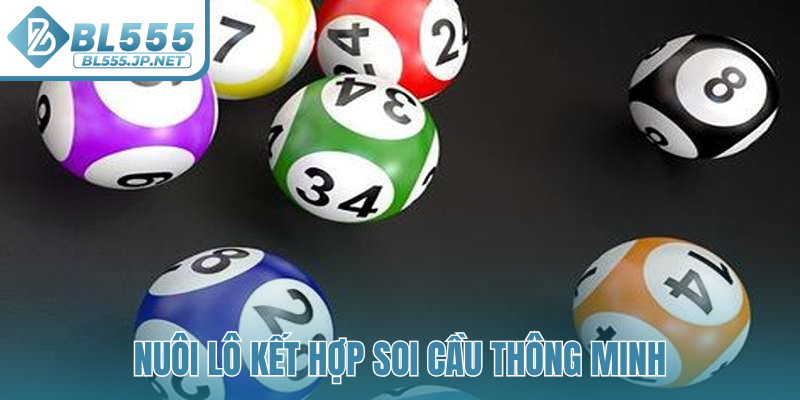 Nuôi lô kết hợp soi cầu thông minh