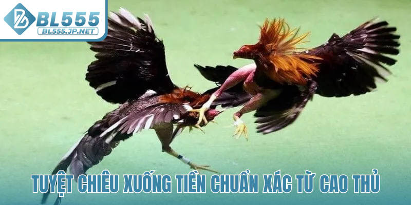 Tuyệt chiêu xuống tiền chuẩn xác từ cao thủ