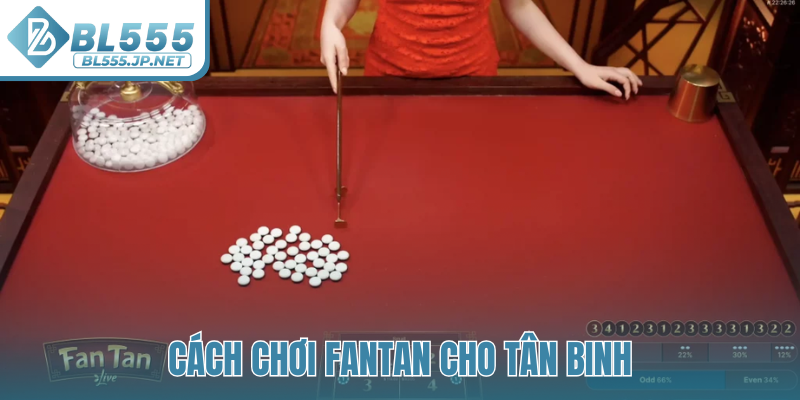 Cách chơi fantan cho tân binh