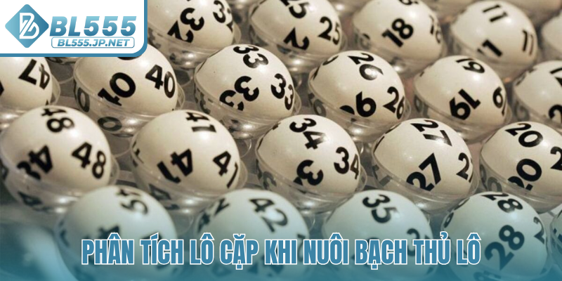 Phân tích lô cặp khi nuôi bạch thủ lô